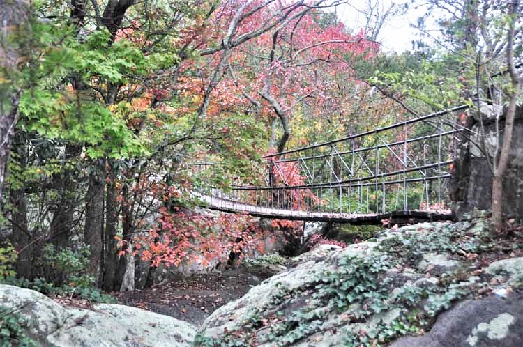 suspension bridge
